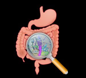 Scopri di più sull'articolo I consigli del medico di segnale per salvaguardare il microbiota intestinale
