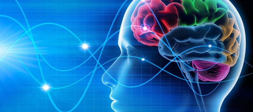 Scopri di più sull'articolo Epilessia