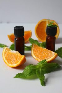 Scopri di più sull'articolo ARANCIO DOLCE (Citrus sinensis (L.) Osbeck)￼
