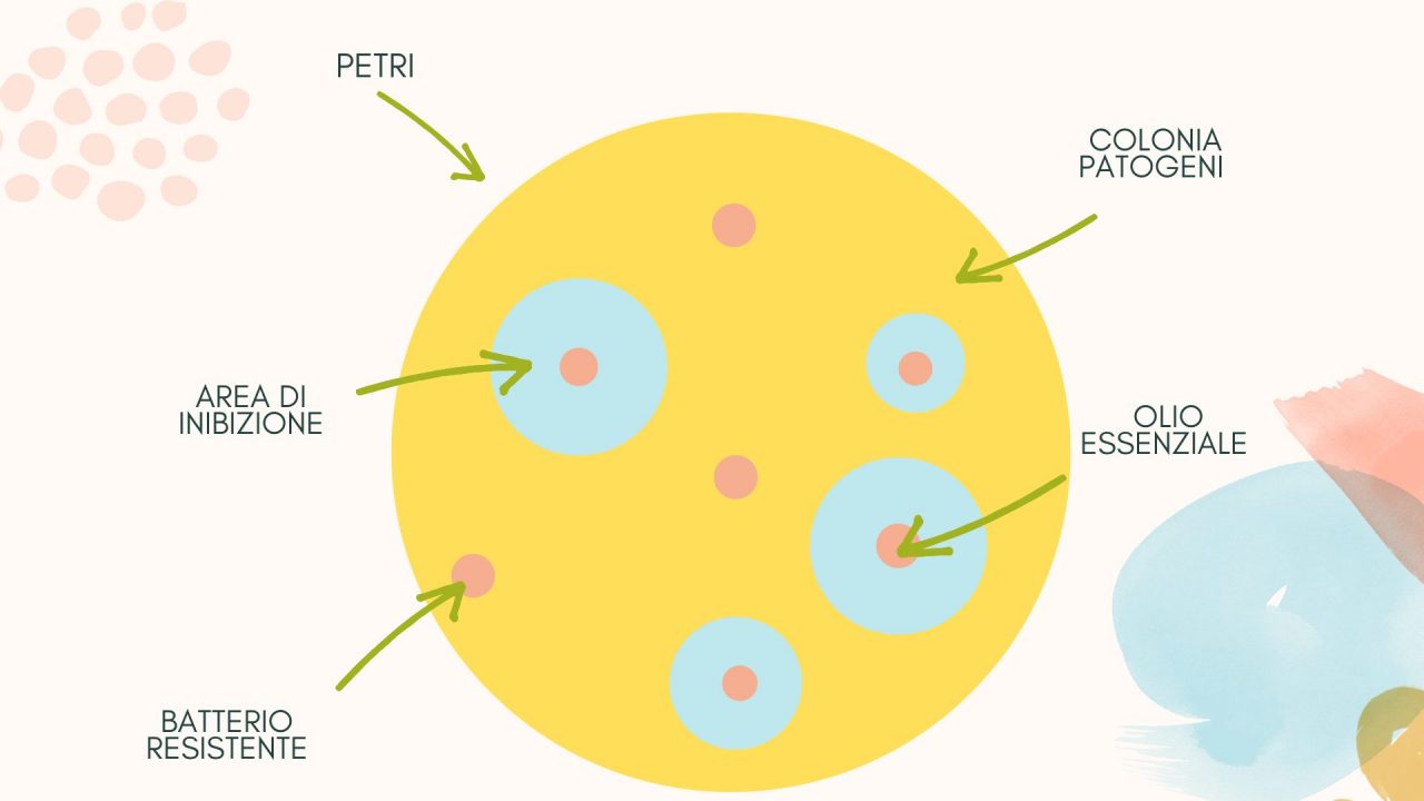 Scopri di più sull'articolo AROMATOGRAMMA