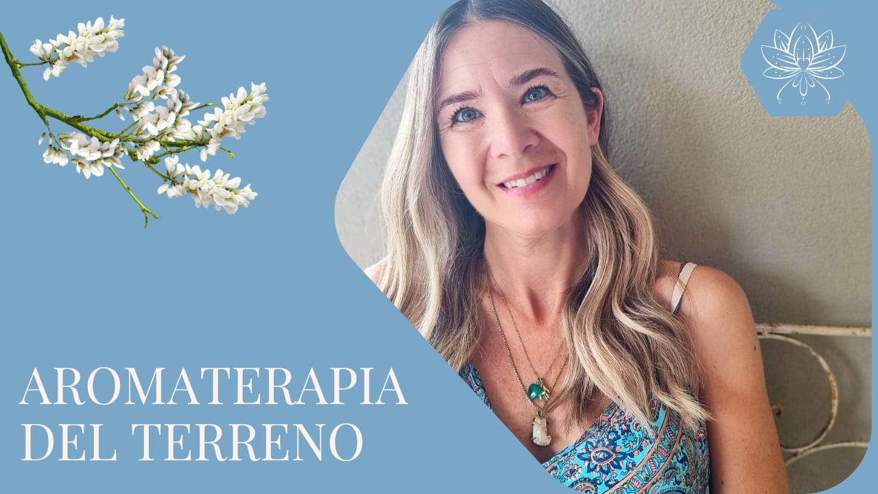 Scopri di più sull'articolo Aromaterapia del terreno: personalizzata ed efficace