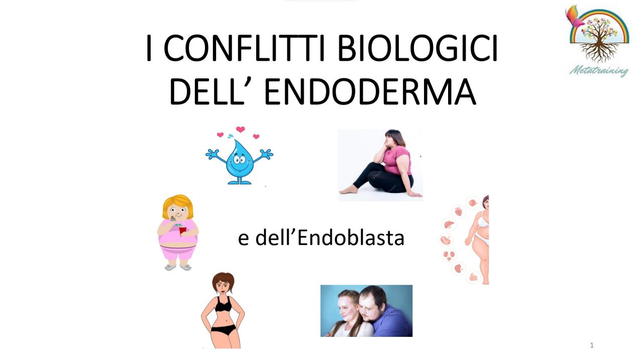 Scopri di più sull'articolo Lezione n. 17 – I conflitti biologici dell’endoderma e dell’endoblasta