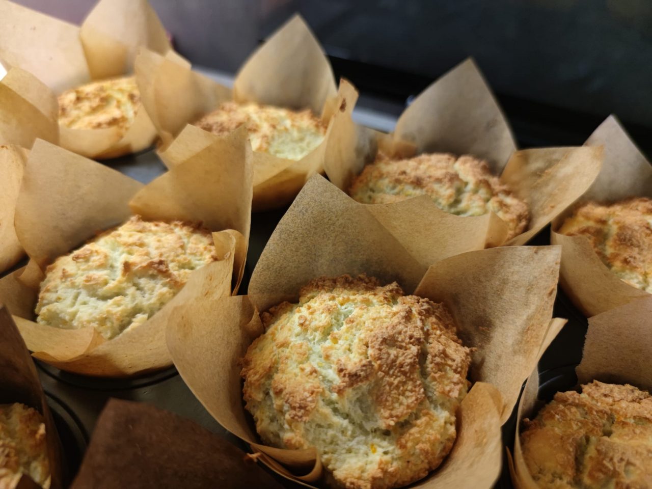 Scopri di più sull'articolo Muffin All you need is Coconut