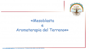 Scopri di più sull'articolo Lezione n. 31 – Mesoblasta e aromaterapia del terreno