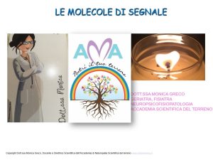 Scopri di più sull'articolo Lezione n. 7 – Molecole di segnale seconda parte
