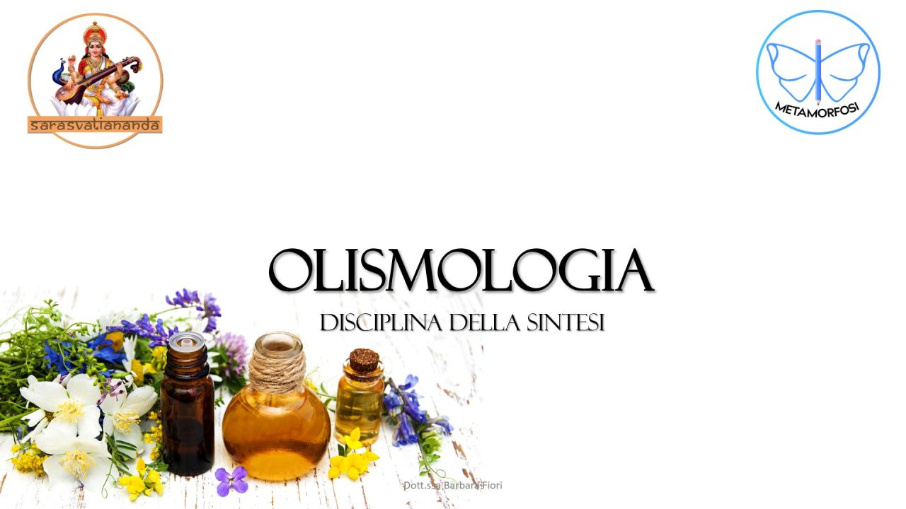 Scopri di più sull'articolo Lezione n. 8 – Olismologia
