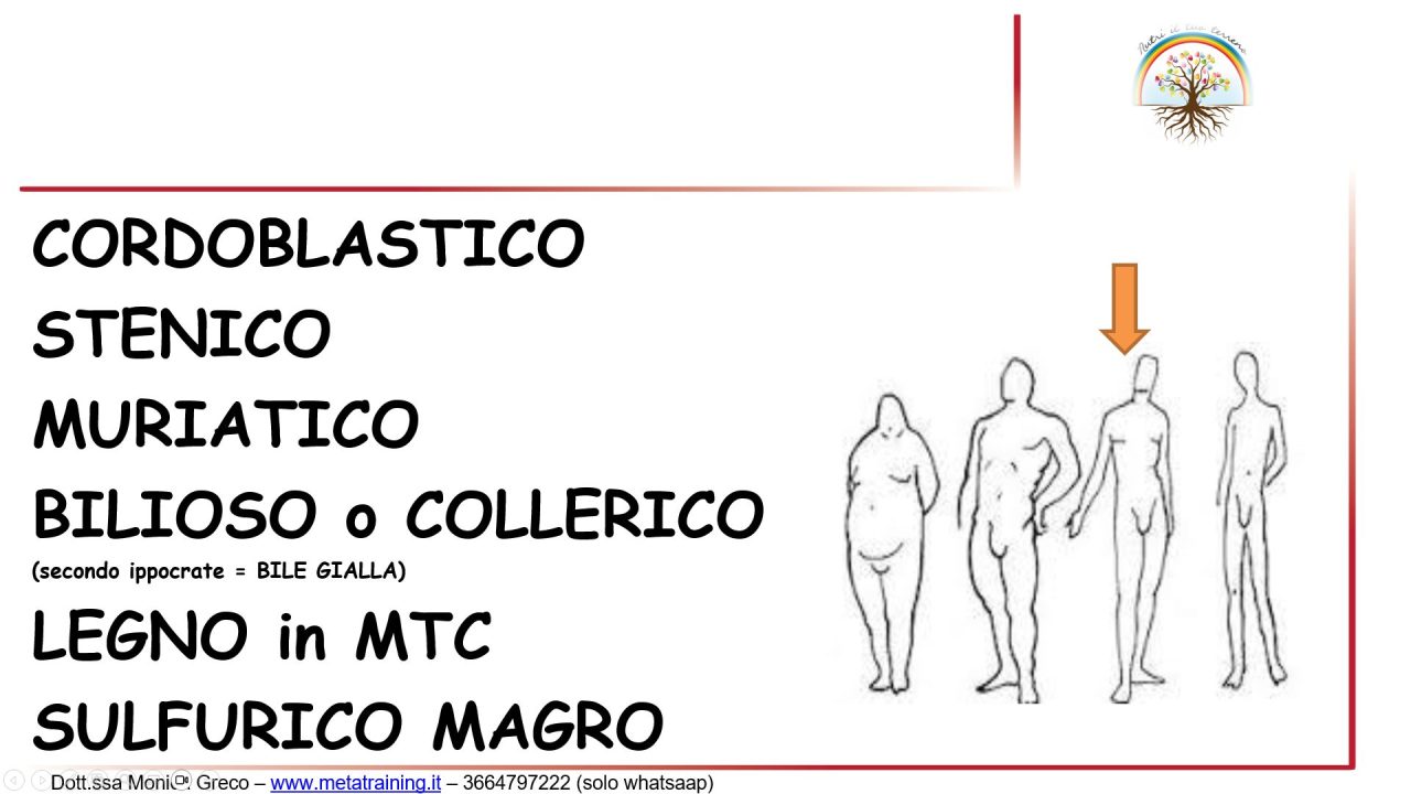 Scopri di più sull'articolo Lezione n. 38 – Cordoblasta prima parte