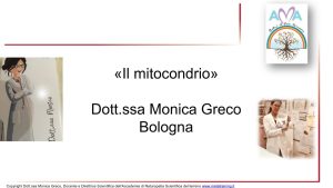 Scopri di più sull'articolo Lezione n. 17 – Mitocondrio e approccio AMA ufficiale
