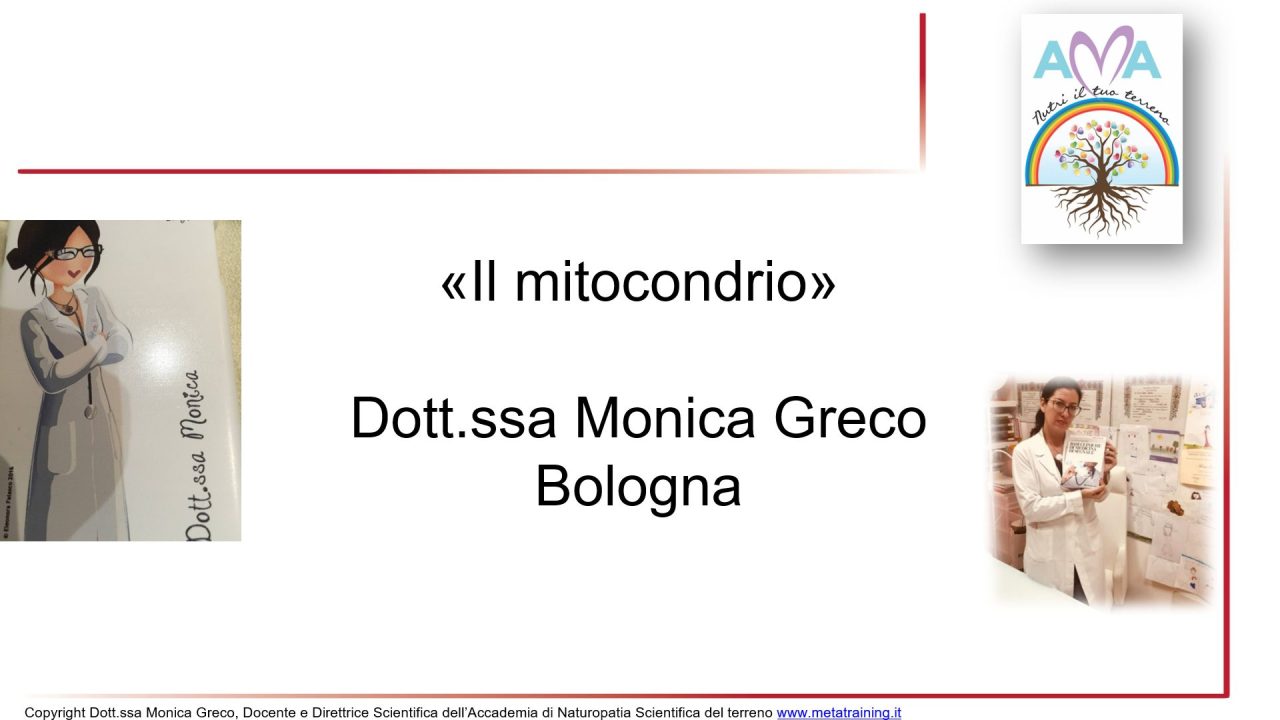 Scopri di più sull'articolo Lezione n. 19 – Mitocondri e approccio AMA ufficiale parte 3