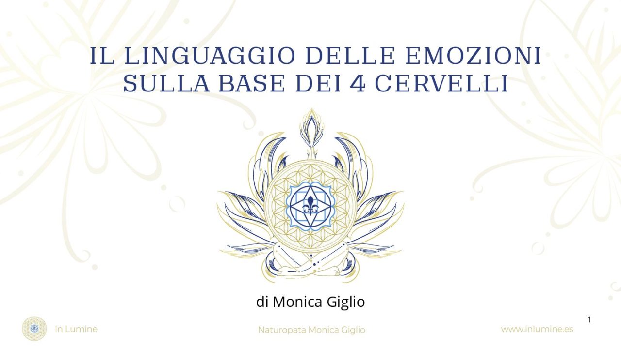 Scopri di più sull'articolo Lezione n. 2 – Il linguaggio delle emozioni sulla base dei 4 cervelli,1 parte