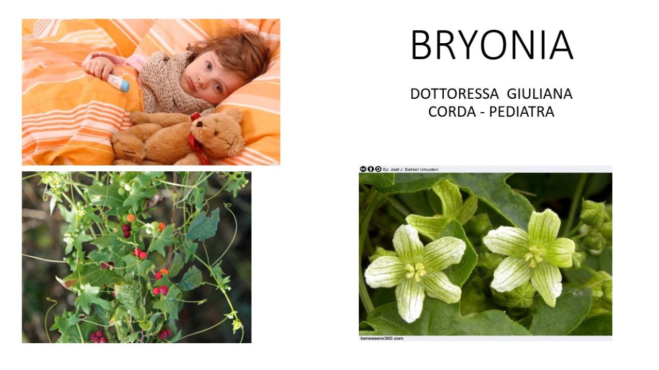 Scopri di più sull'articolo Lezione n. 29 – Materia medica: Bryonia e Hypericum