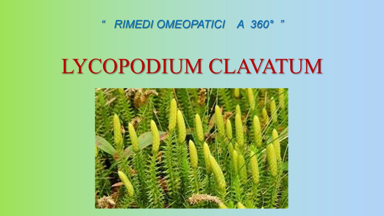 Scopri di più sull'articolo Lezione n. 30 – Materia medica: Lycopodium