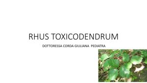 Scopri di più sull'articolo Lezione n. 31 – Materia medica: Hypericum, Rus toxicodendrum, Symphytum officinale – Dott.ssa Corda