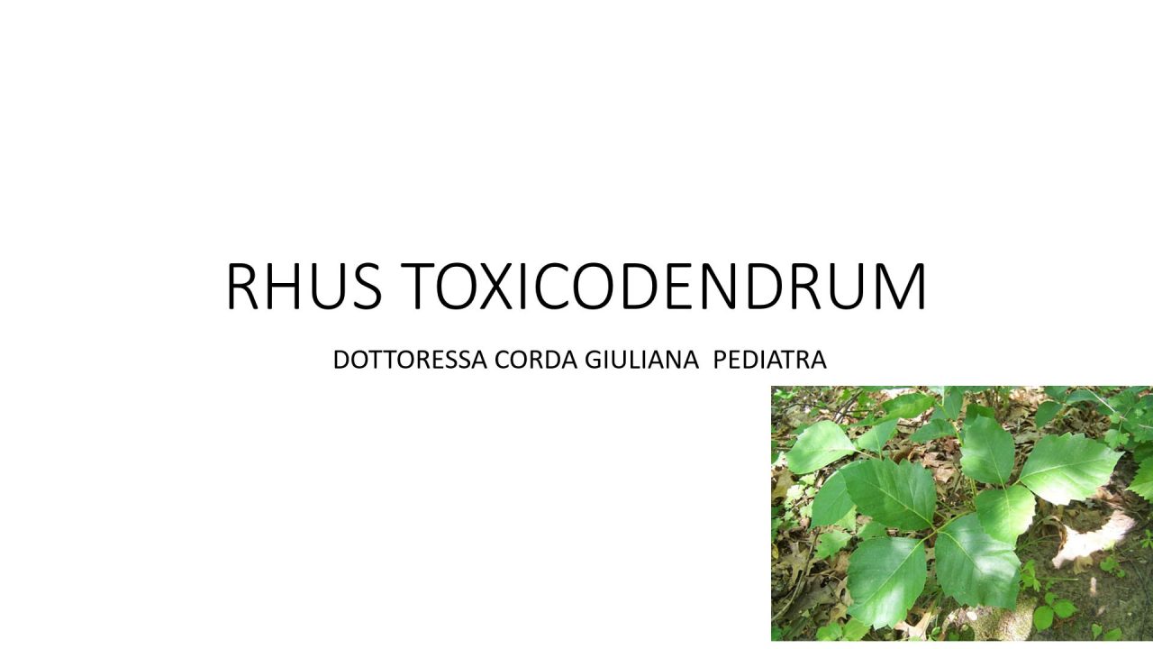 Scopri di più sull'articolo Lezione n. 31 – Materia medica: Hypericum, Rus toxicodendrum, Symphytum officinale – Dott.ssa Corda