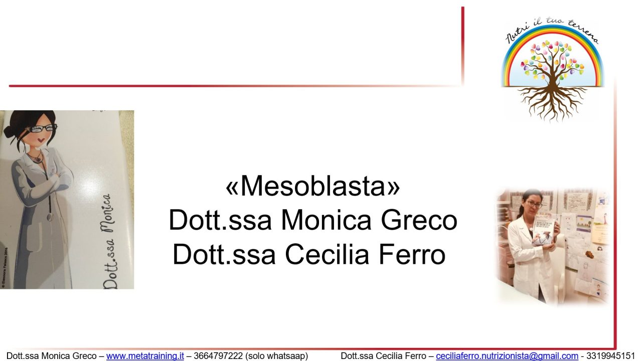 Scopri di più sull'articolo Lezione n. 33 – Mesoblasta