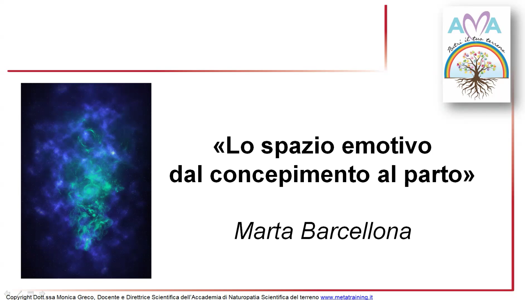 Scopri di più sull'articolo Lezione n. 14 – Emozioni e concepimento, Marta Barcellona